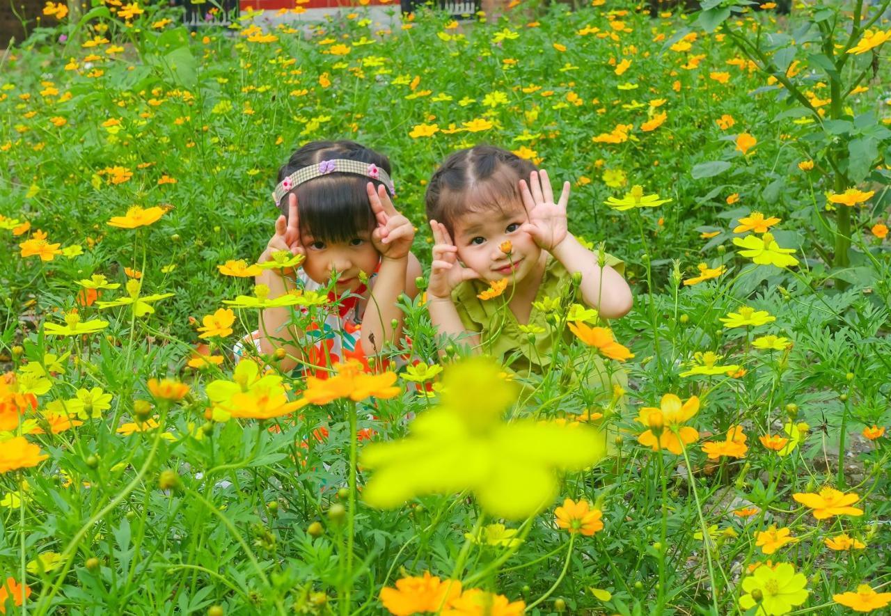 Ninh Binh Mountain Side Homestay & Cafe Dış mekan fotoğraf