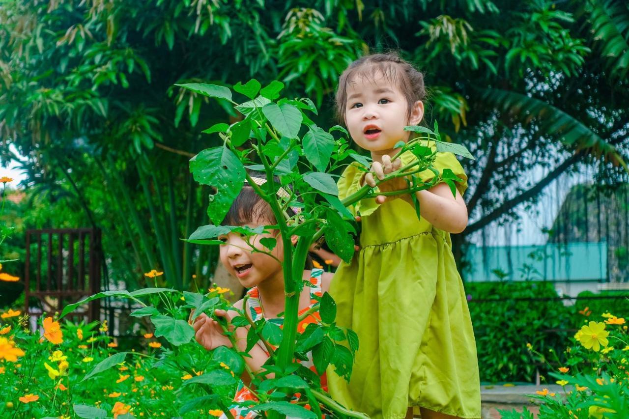 Ninh Binh Mountain Side Homestay & Cafe Dış mekan fotoğraf