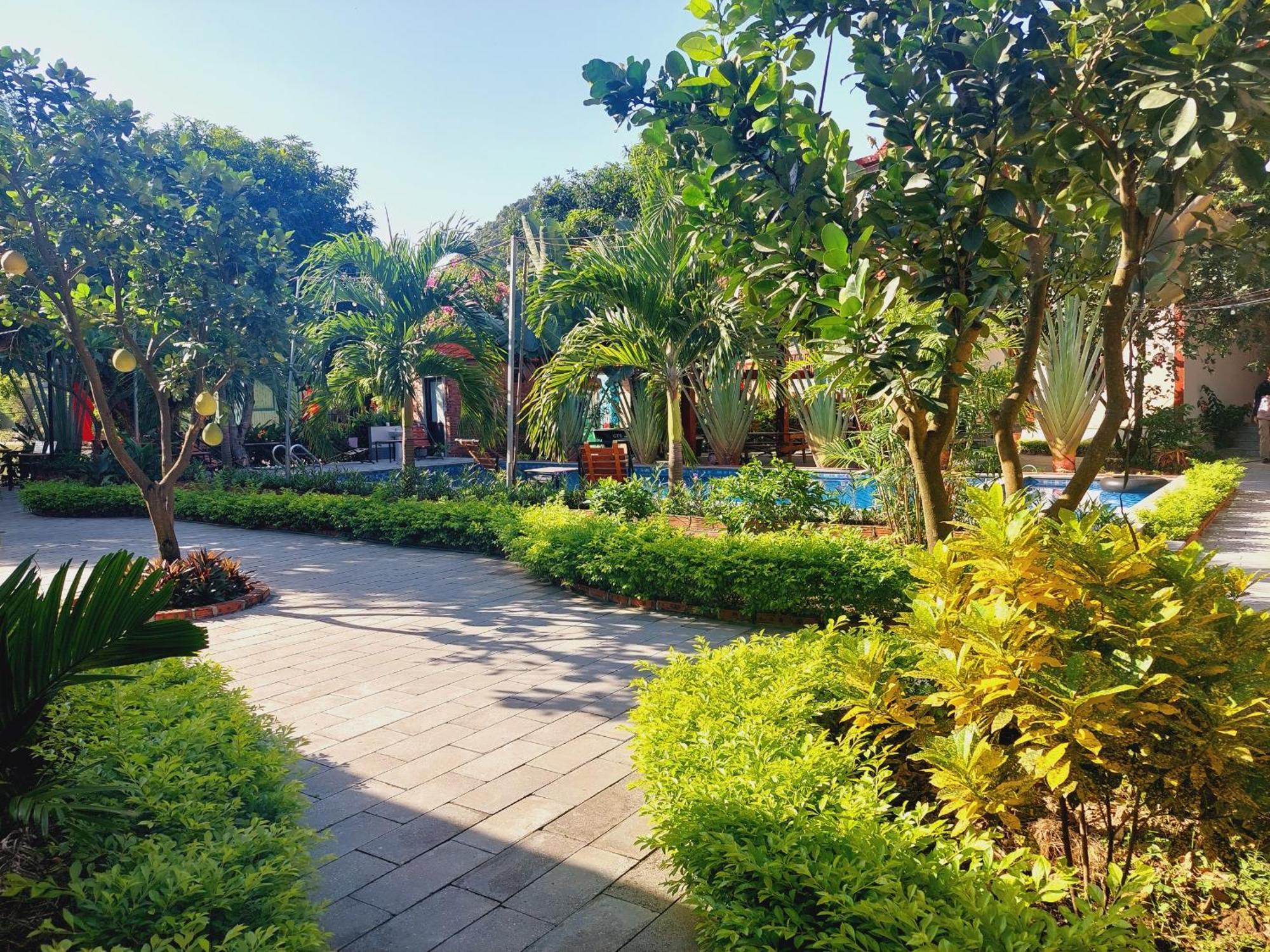 Ninh Binh Mountain Side Homestay & Cafe Dış mekan fotoğraf