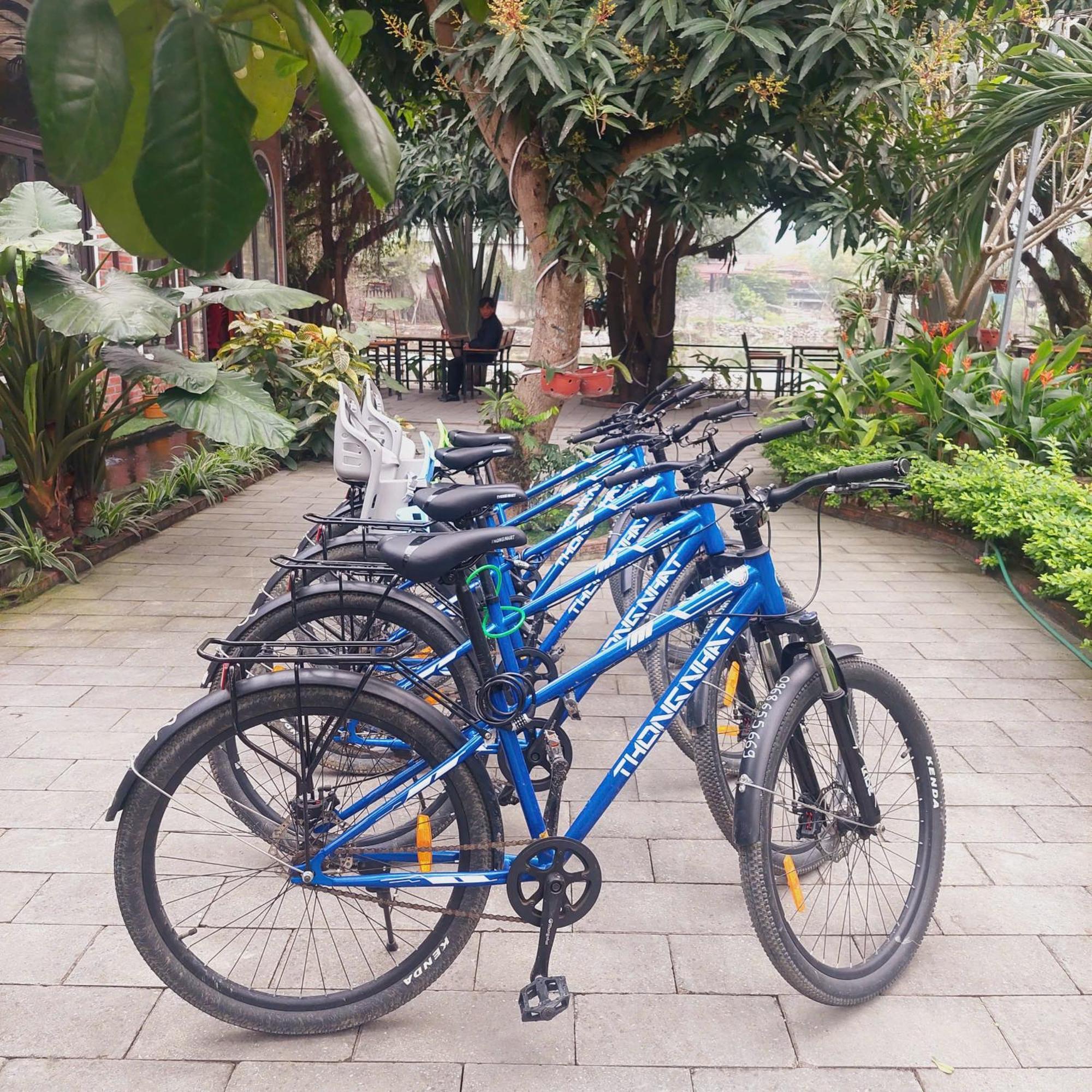 Ninh Binh Mountain Side Homestay & Cafe Dış mekan fotoğraf
